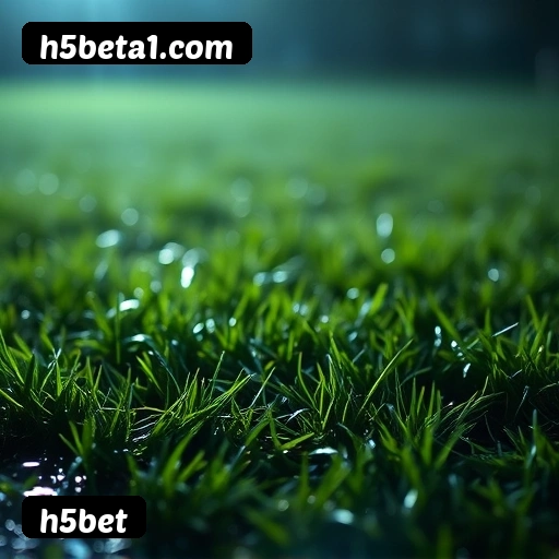 h5bet suporte 24/7 português Brasil - 47 atendentes brasileiros chat ao vivo